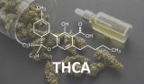 Unleashing the Power of THCA: Exploring its Benefits and Uses