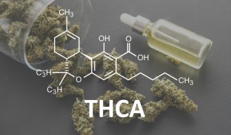Unleashing the Power of THCA: Exploring its Benefits and Uses